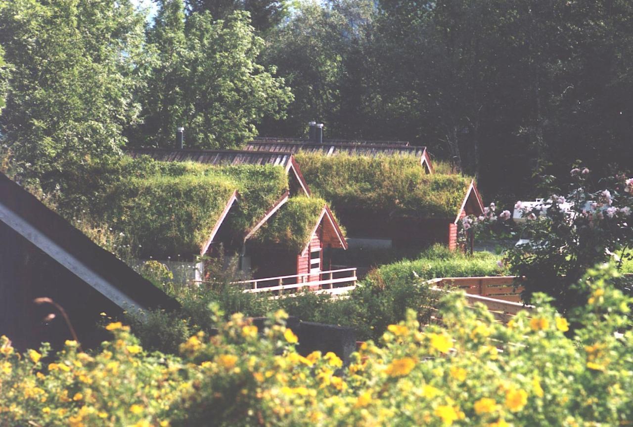 Hardanger Feriesenter Nesvika Villa Norheimsund Buitenkant foto