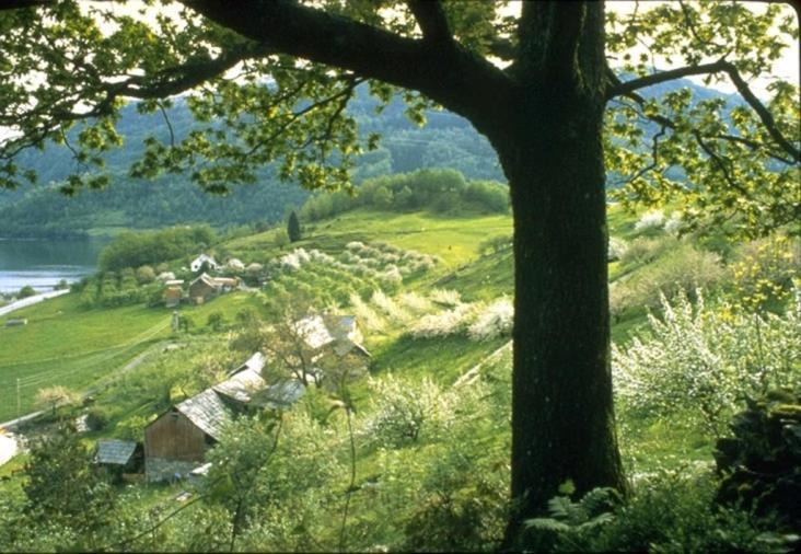 Hardanger Feriesenter Nesvika Villa Norheimsund Buitenkant foto