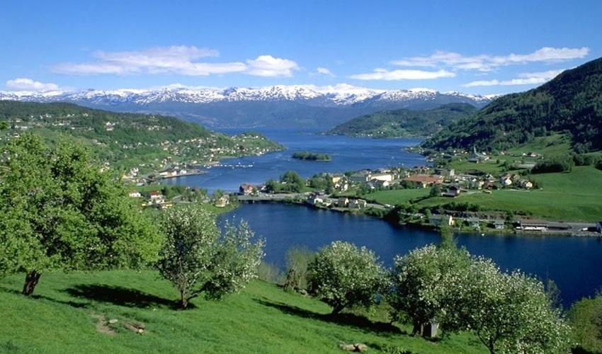 Hardanger Feriesenter Nesvika Villa Norheimsund Buitenkant foto