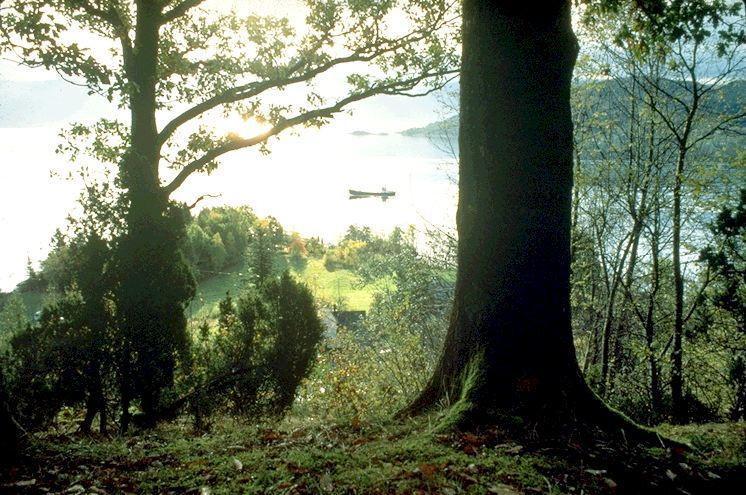 Hardanger Feriesenter Nesvika Villa Norheimsund Buitenkant foto